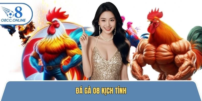 Sảnh đá gà của nền tảng đa dạng các loại hình và kèo cược